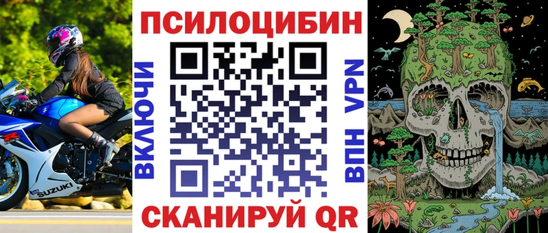 маркетплейс телеграм Яровое Псилоцибиновые грибы Psilocybe